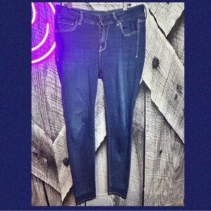 Wallflower Dark Blue Skinny Jeans for Women